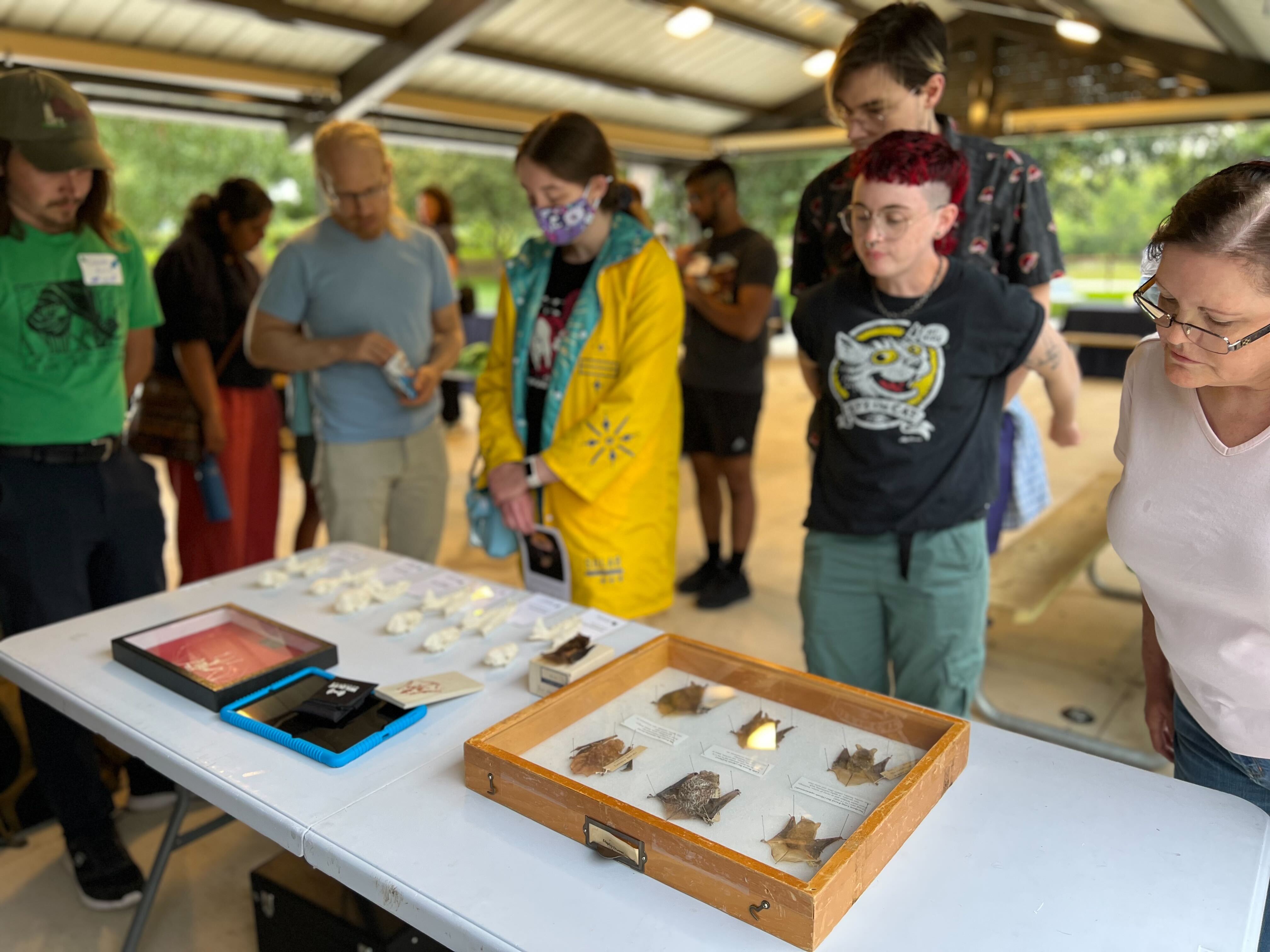 Activity table for the Bats event, Anita Purves Nature Center