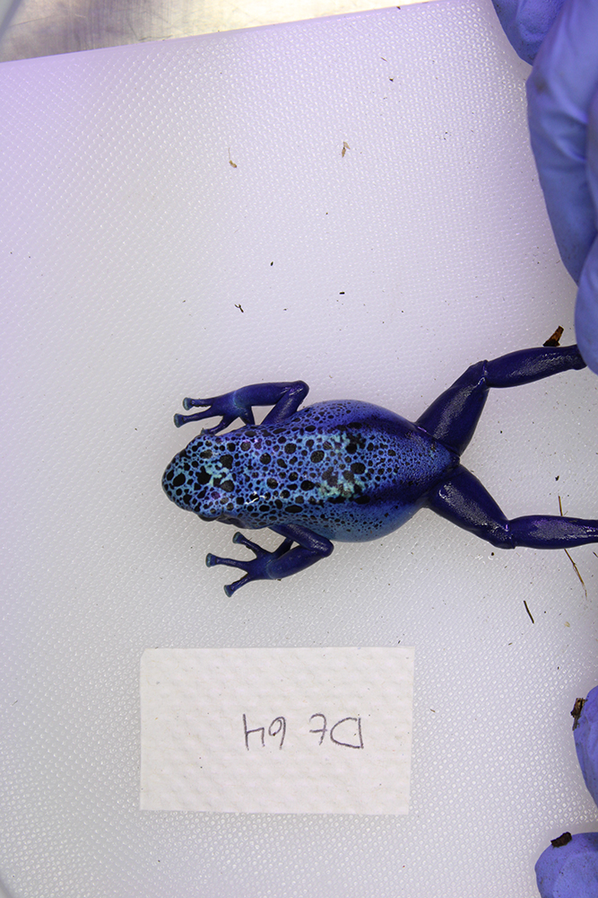 Art of Science behind the scenes