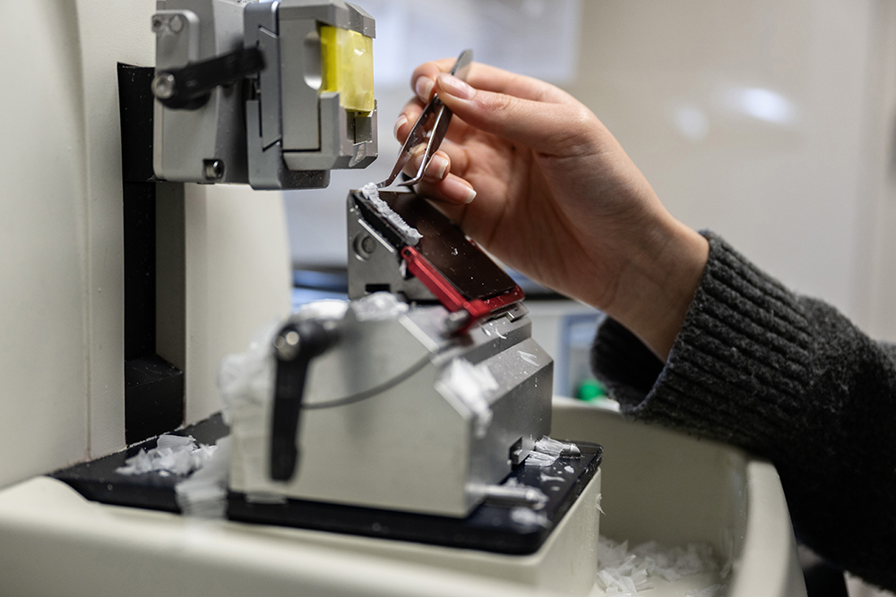 Art of Science behind the scenes