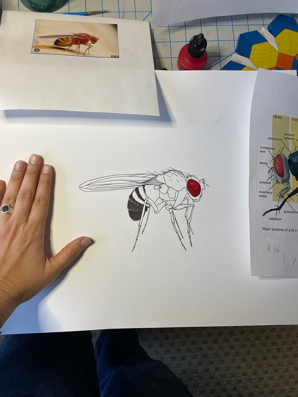 Art of Science behind the scenes