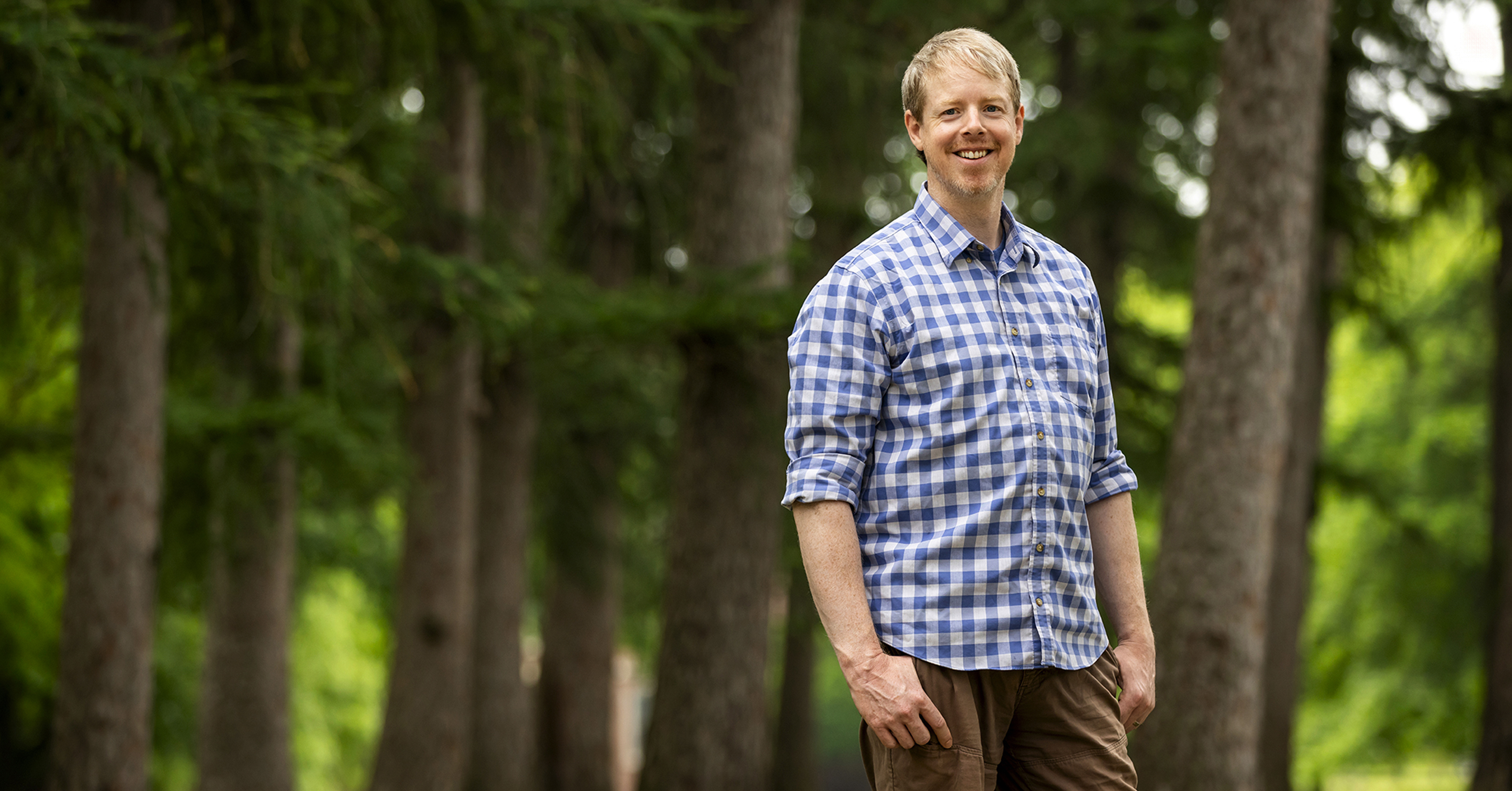 New model can accurately predict a forest’s future