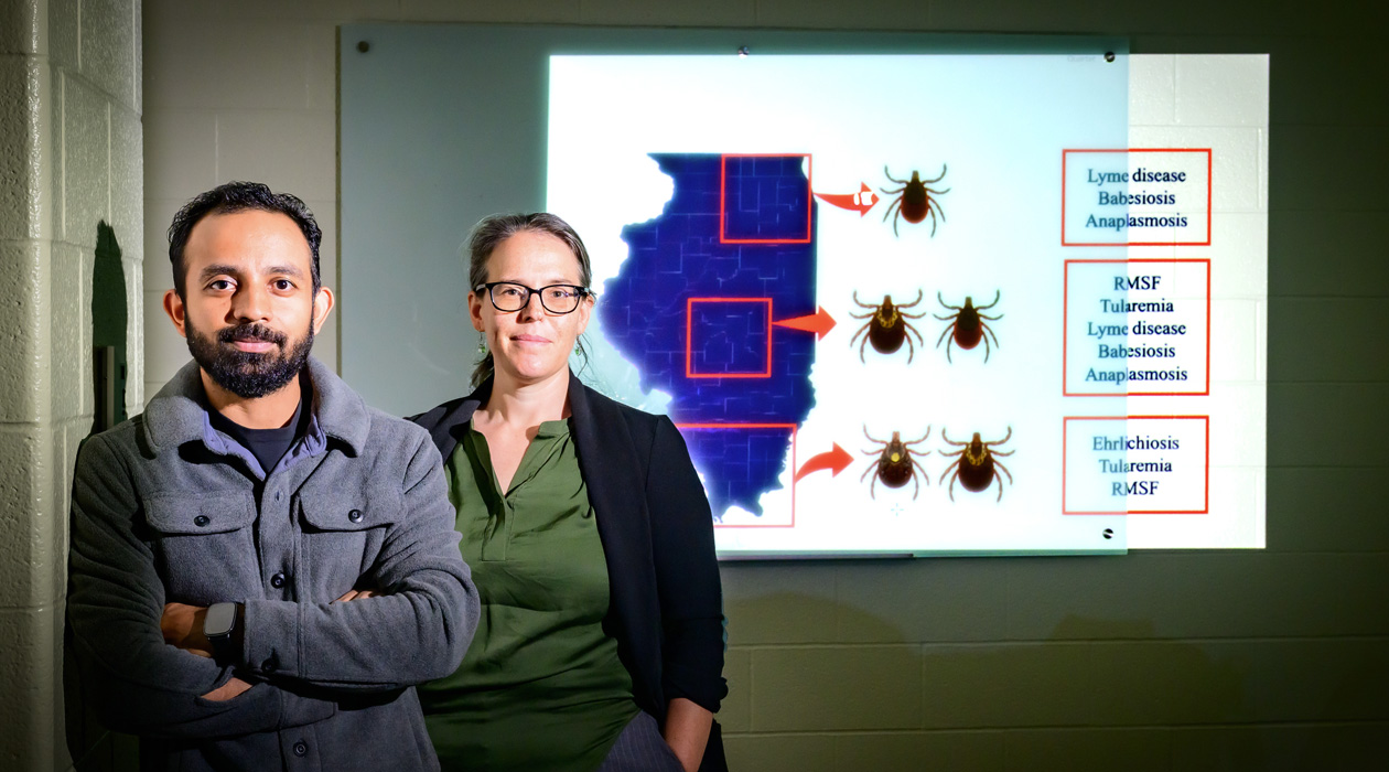 Abrar Hussain, left, Rebecca Smith and their colleagues mapped the distribution of three tick species across the state of Illinois. They compared this distribution to the incidence of tick-borne diseases in the state. Photo by Fred Zwicky