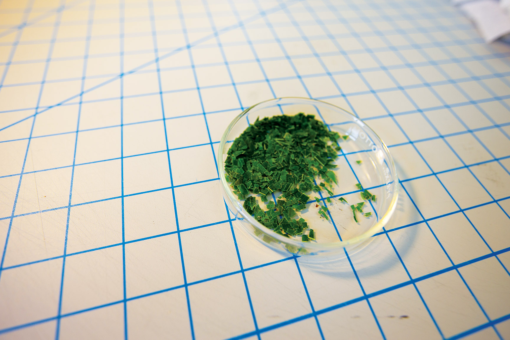 Chlorophyll Extractions