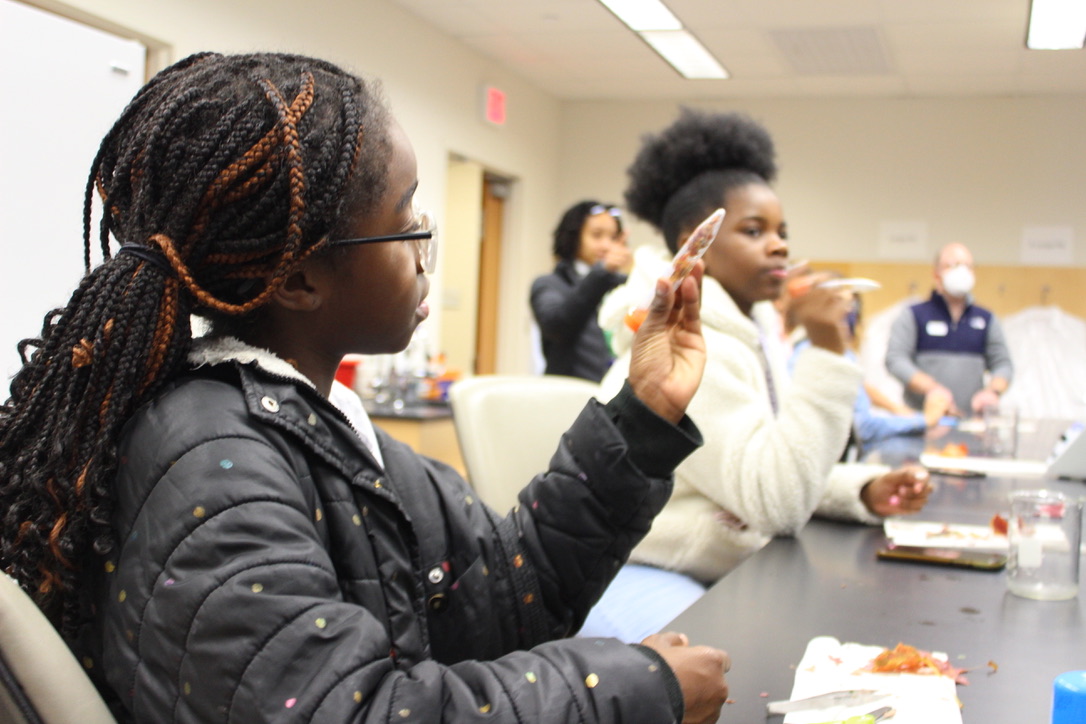 Chlorophyll Extractions