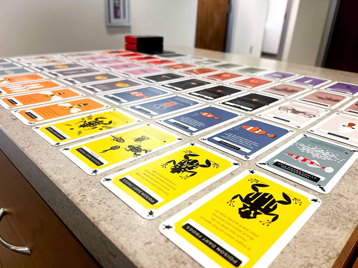 All 52 cards laid out