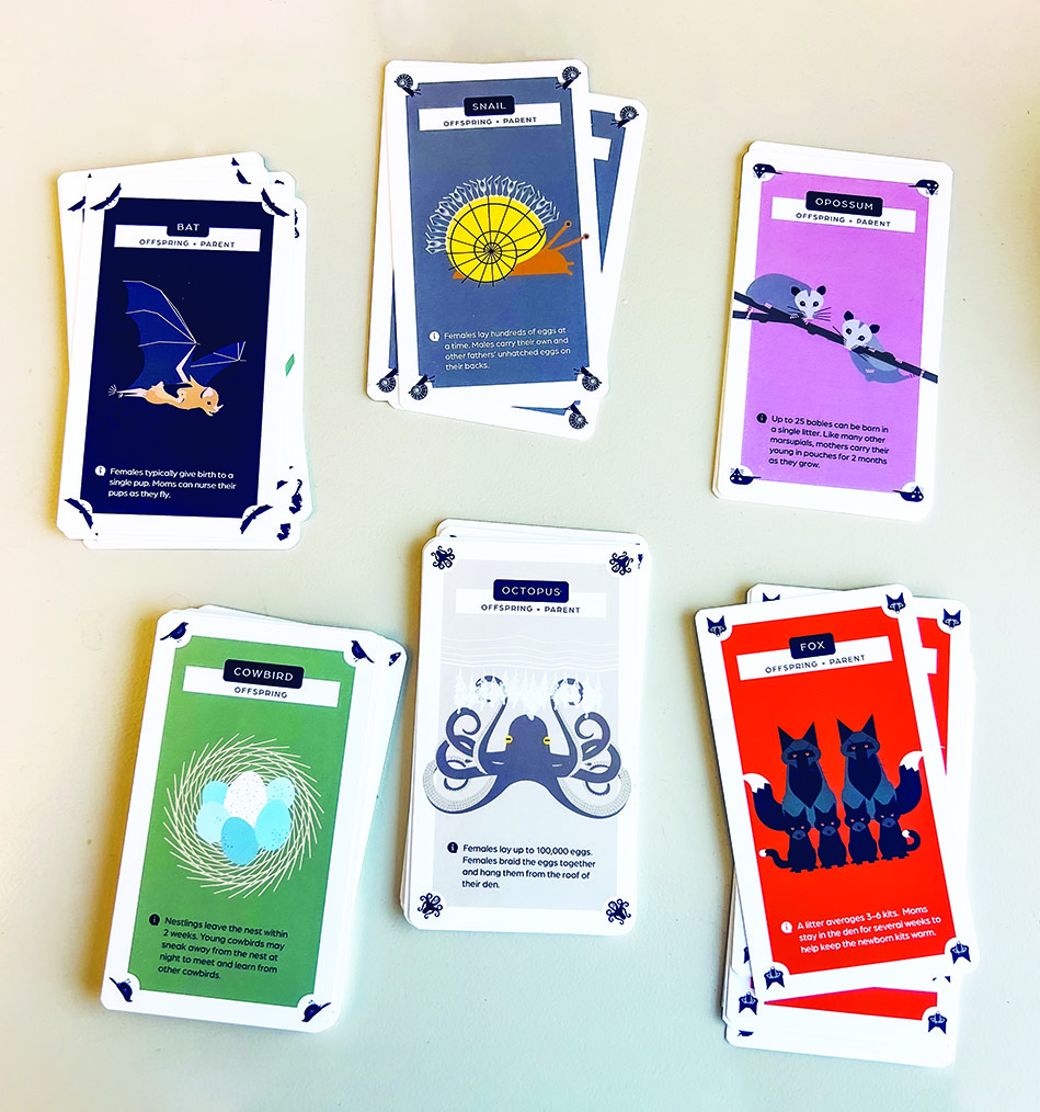Bat, snail, opossum, cowbird, octopus, and fox cards