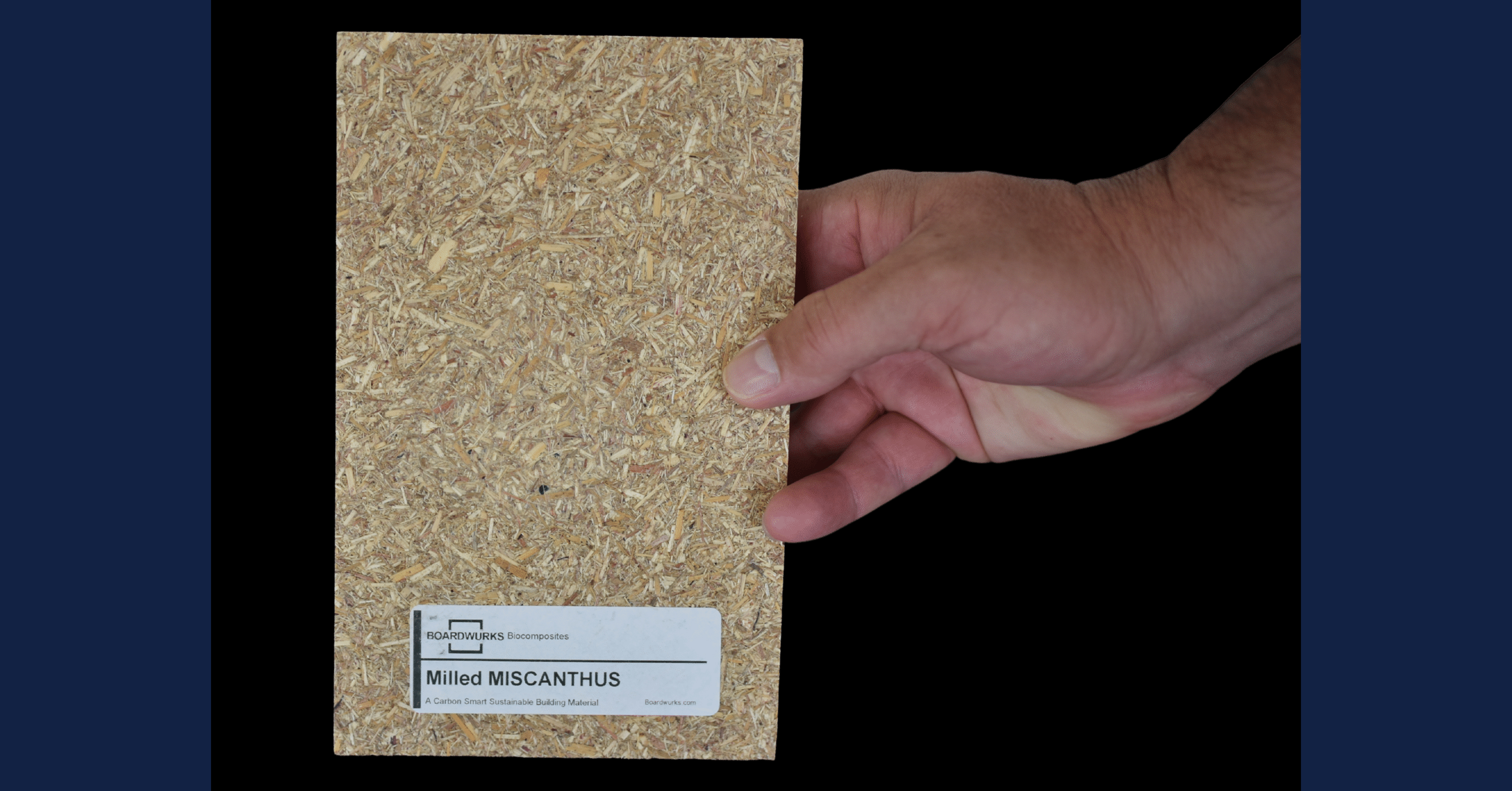 The Coming of Age of Miscanthus