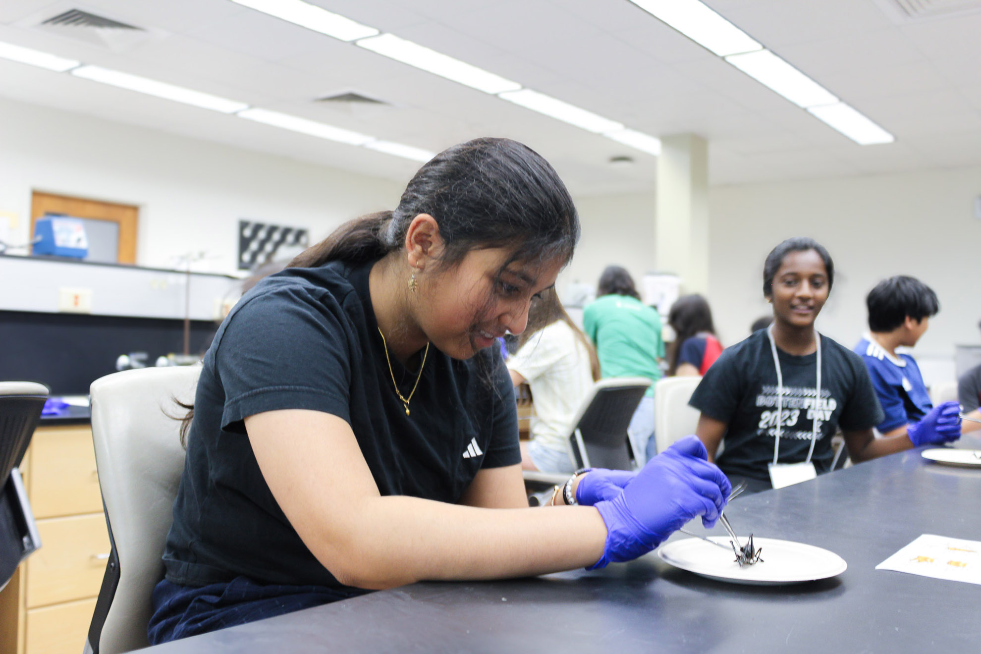 Pollen Power, 2025 / ZanneNewman