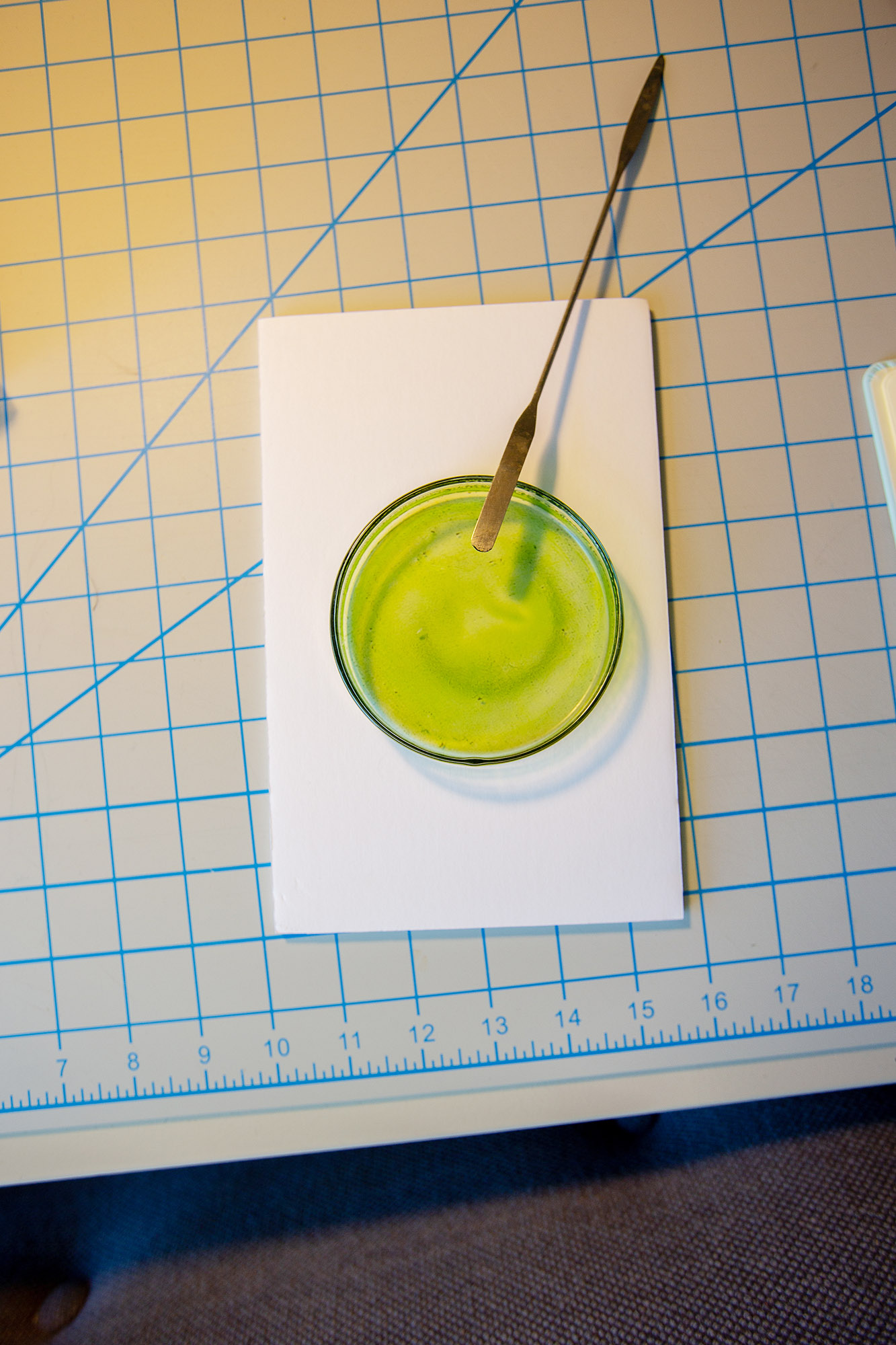 Chlorophyll Extractions