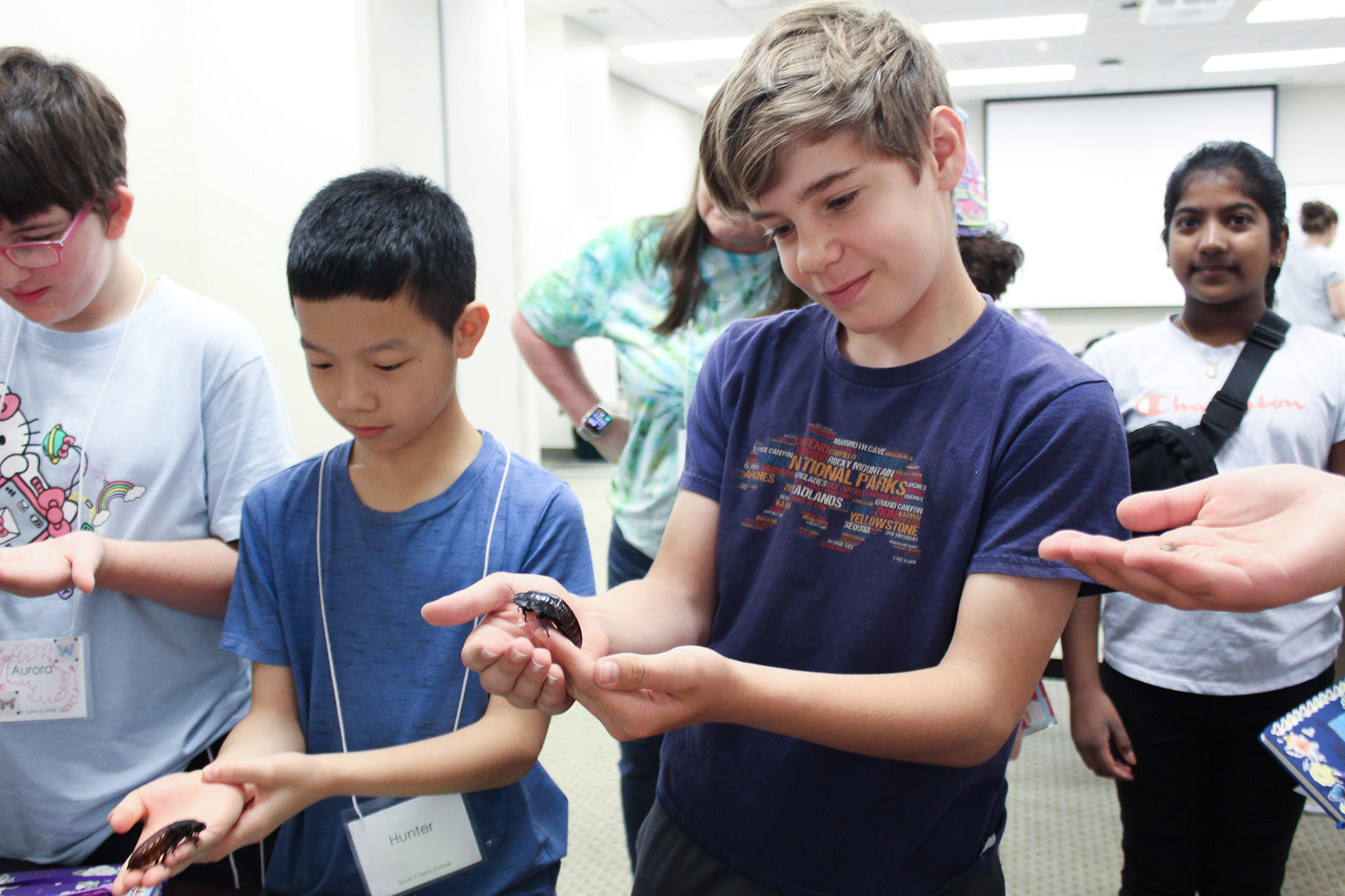 Pollen Power, 2025 / ZanneNewman