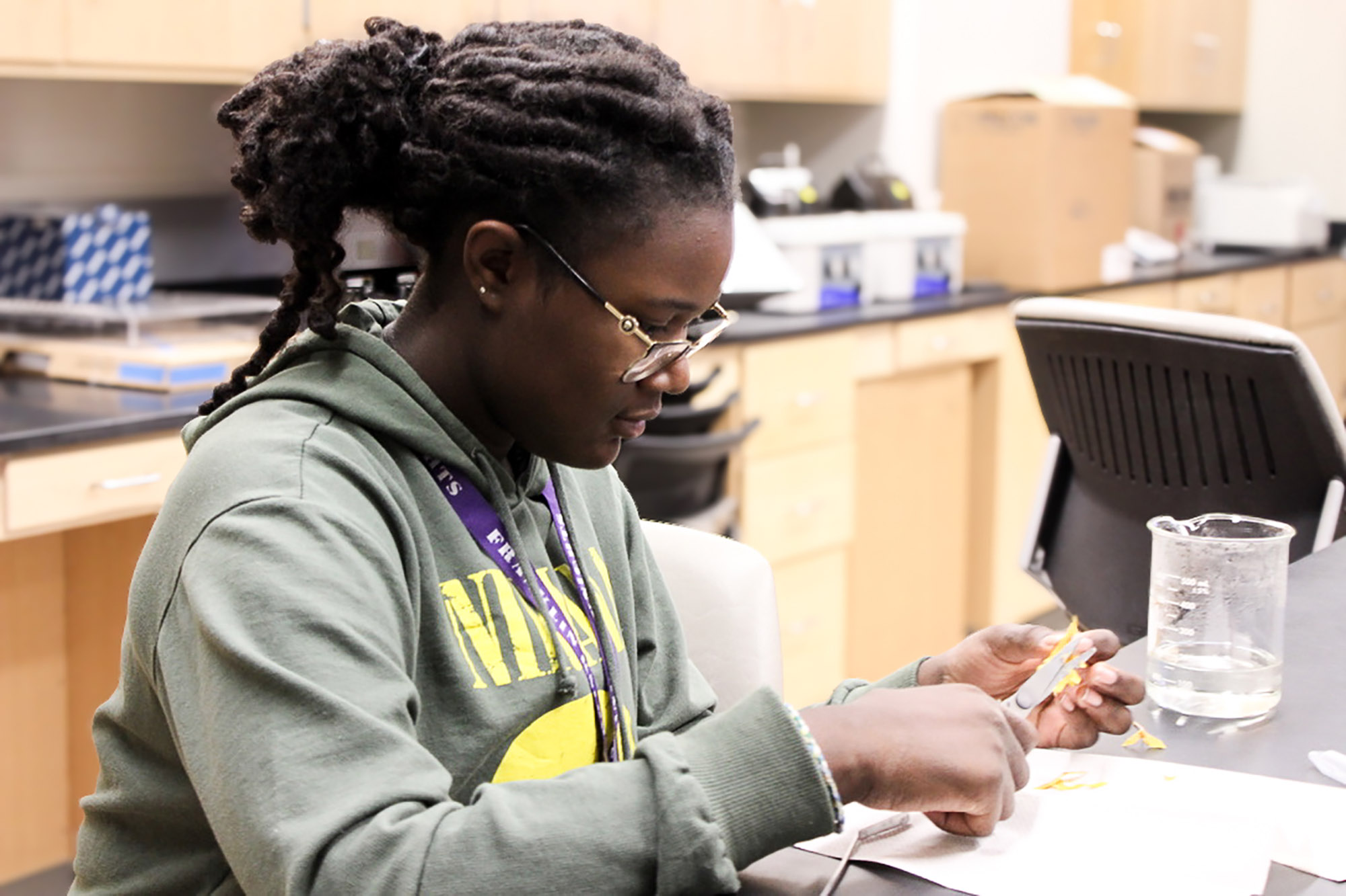 Chlorophyll Extractions