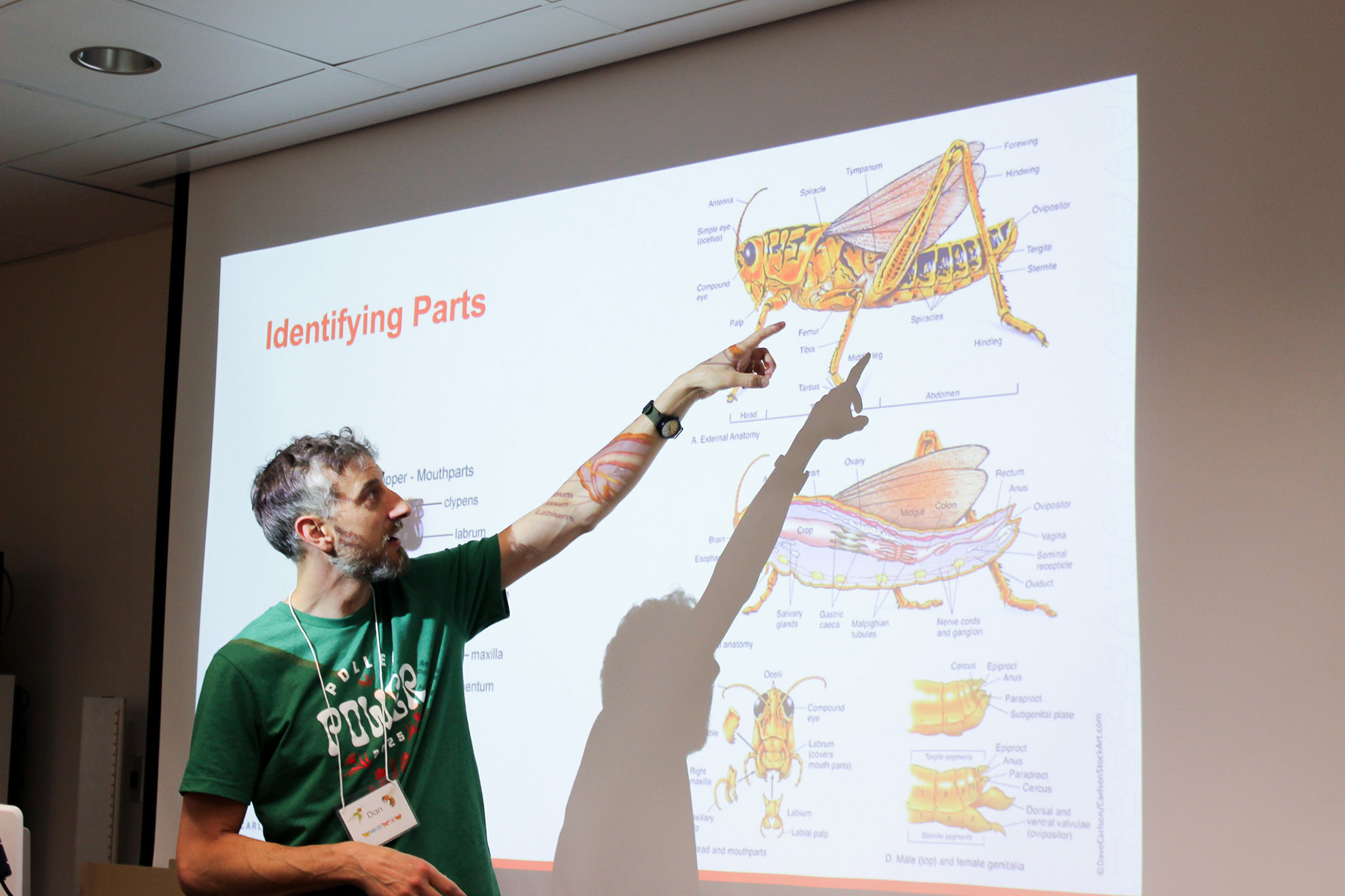 Pollen Power, 2025 / ZanneNewman
