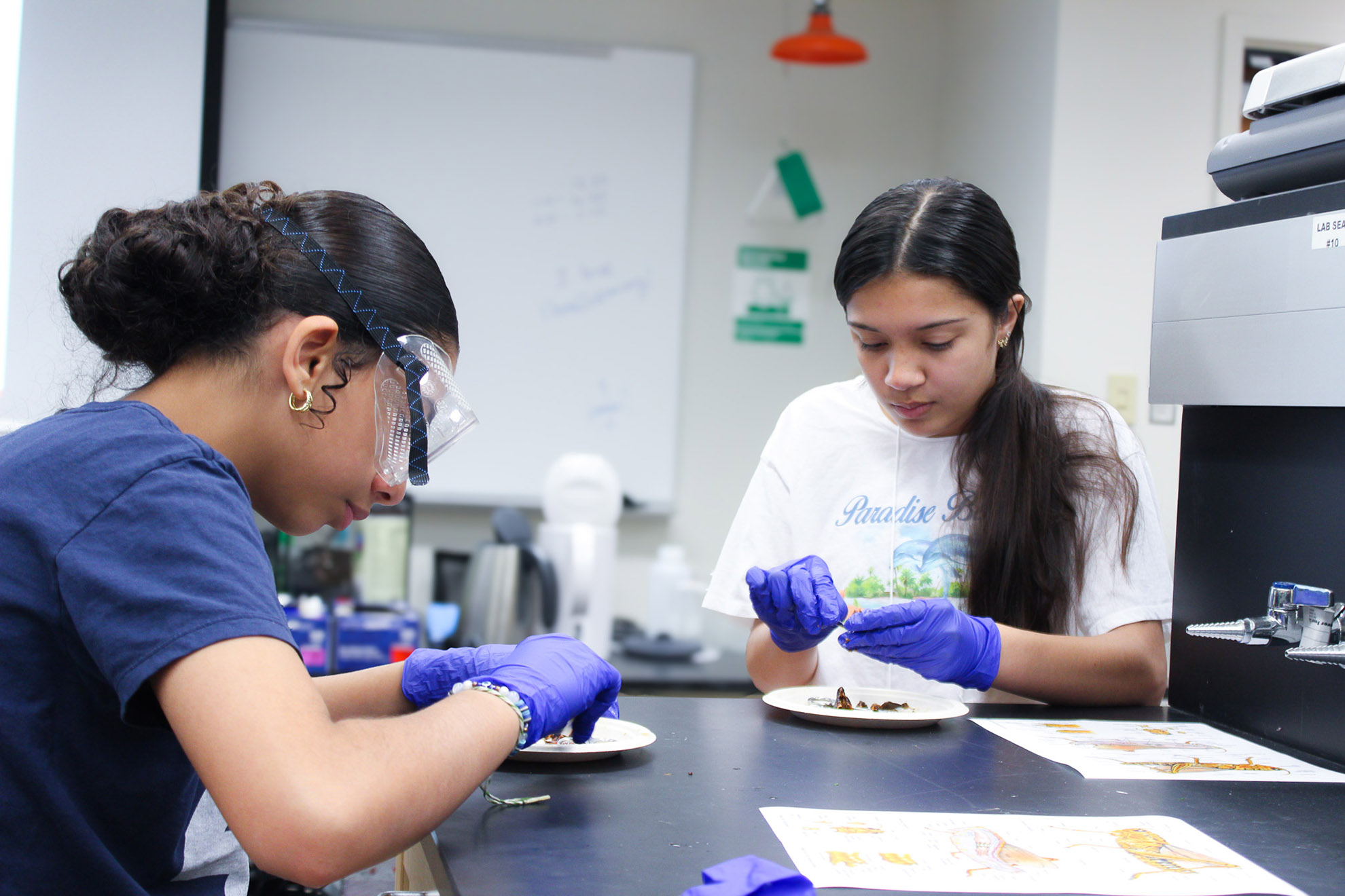 Pollen Power, 2025 / ZanneNewman