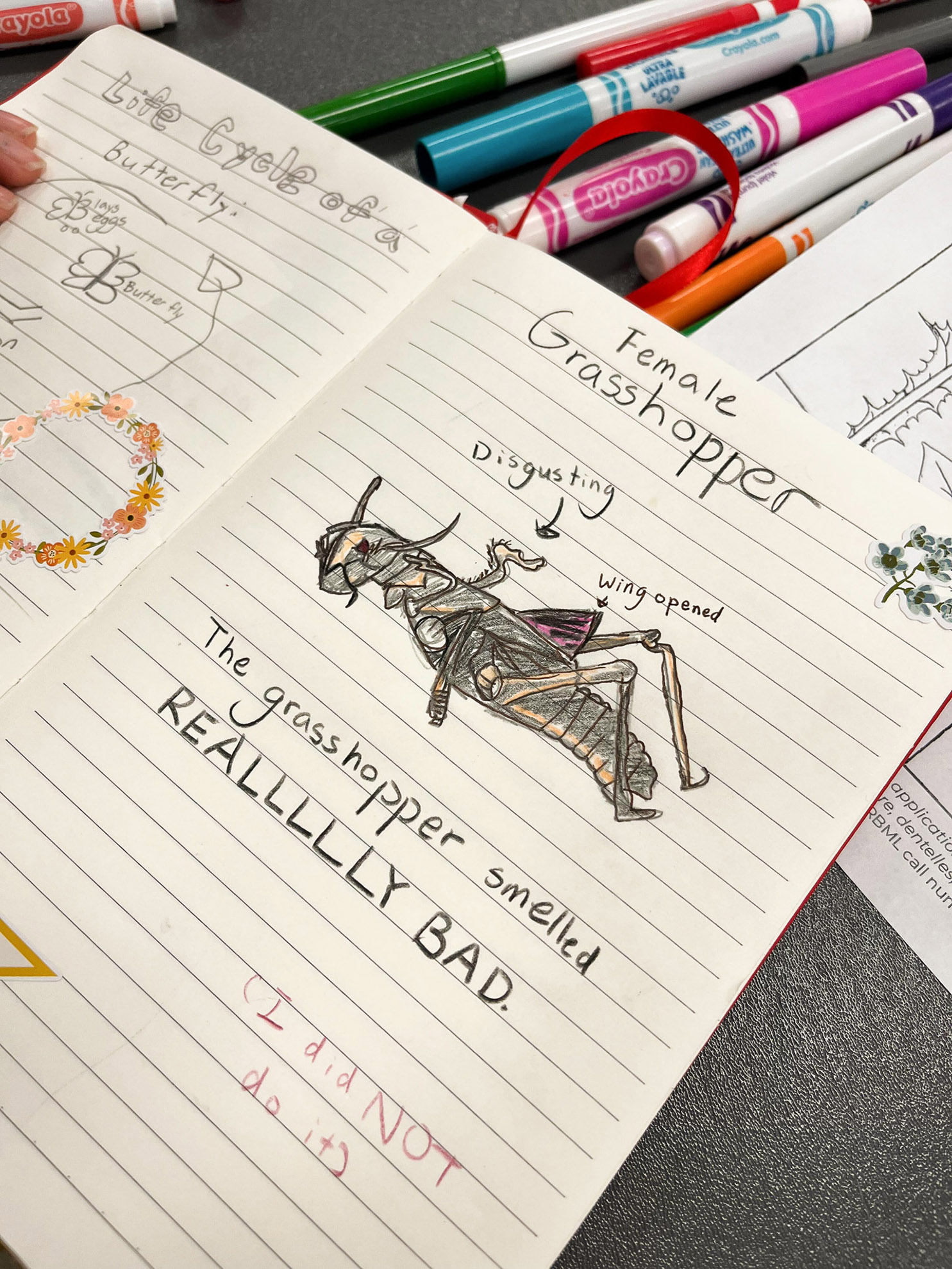 Pollen Power, 2025 / ZanneNewman