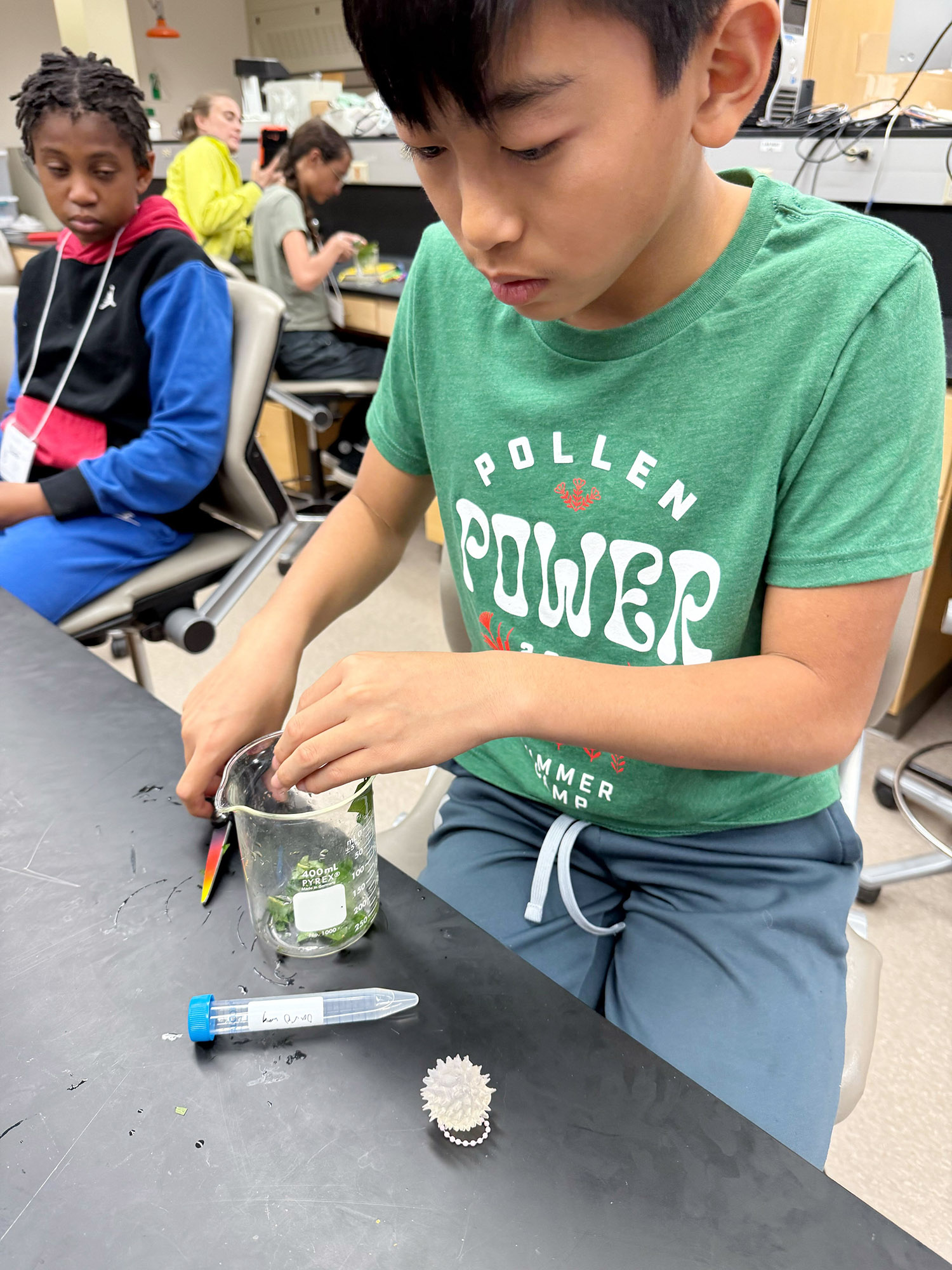 Chlorophyll Extractions