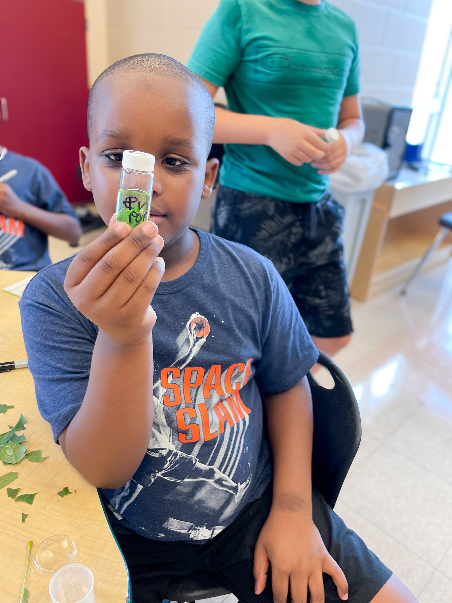 Chlorophyll Extractions