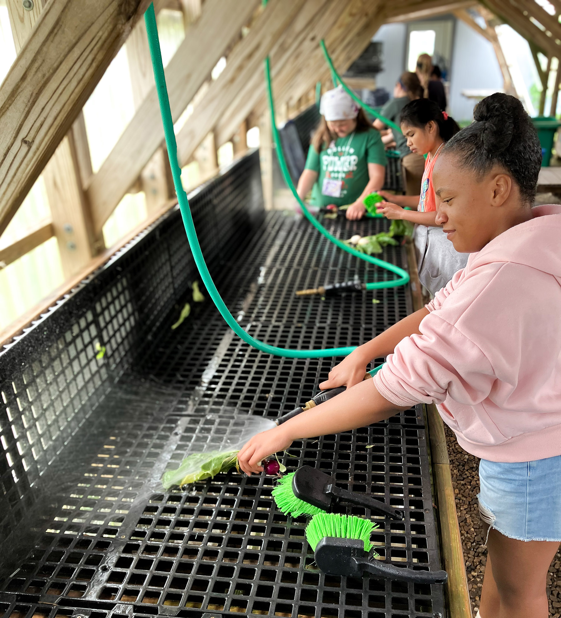 Pollen Power, 2025 / ZanneNewman