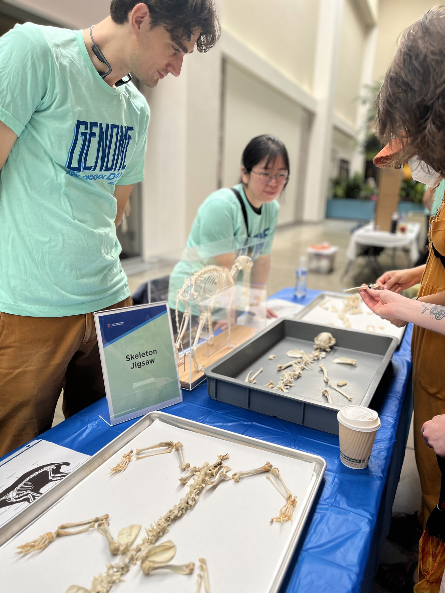 Genome Day 2025, Lincoln Square Mall