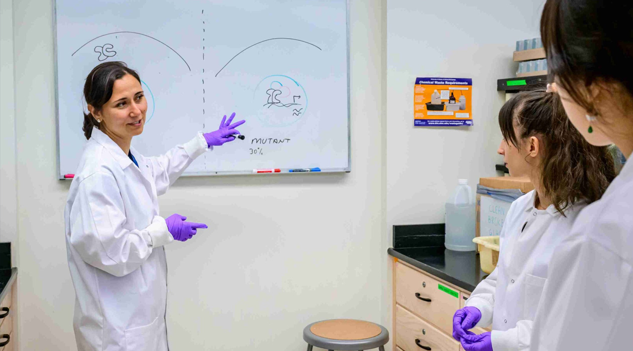 “To have such high-impact work, there should be research teams that include people from different sides of the sciences: cancer expertise, computational expertise, biology, and now AI and analytics tools.”  ZEYNEP MADAK-ERDOGAN