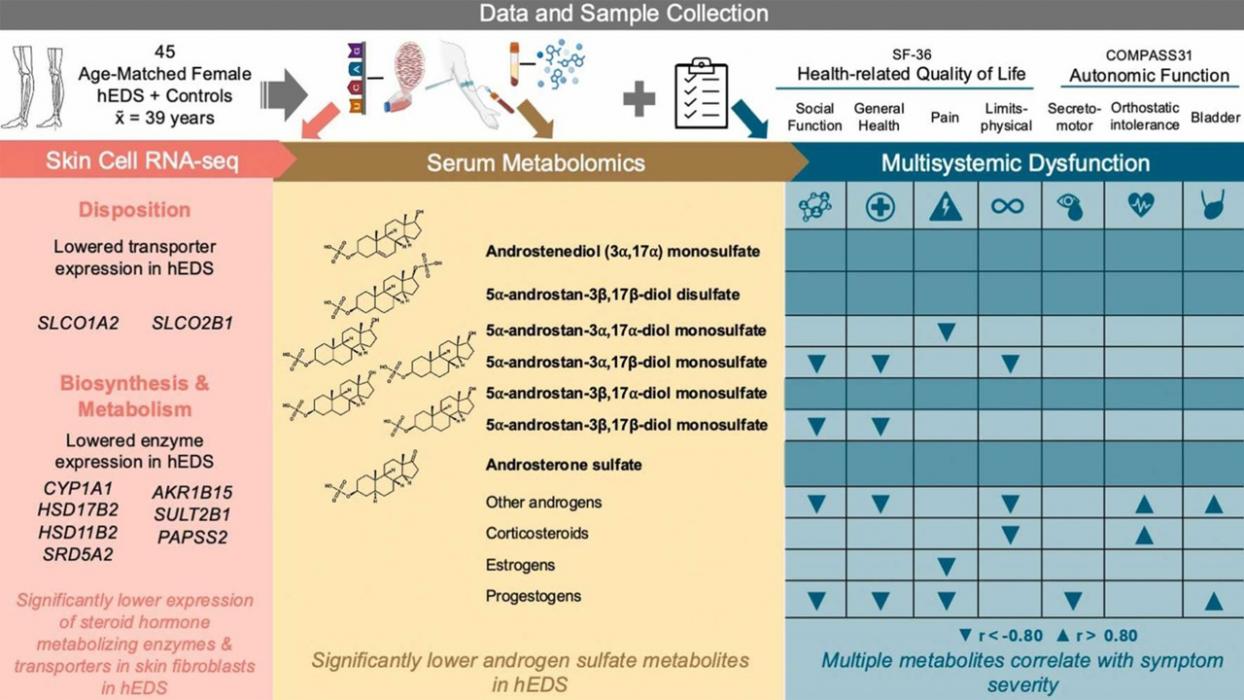 Incremental progress on a stubborn medical mystery: new studies yield insight on the signs and causes of hypermobile Ehlers-Danlos Syndrome