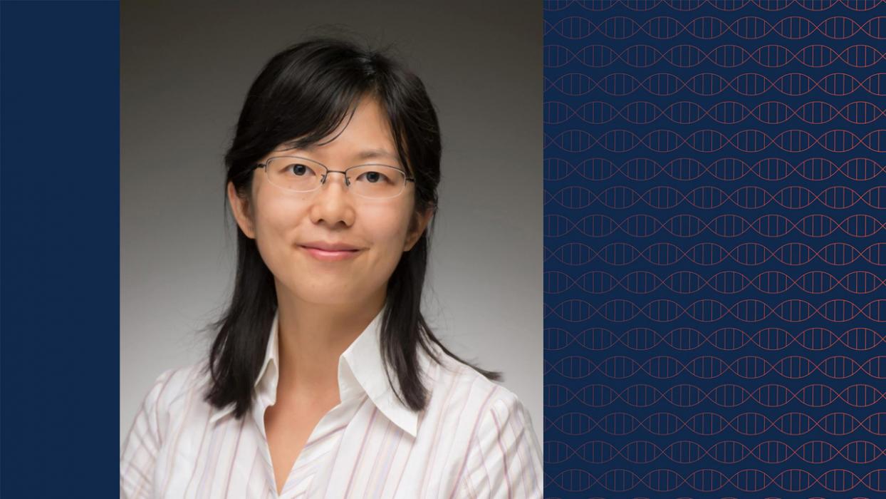 Civil and Environmental Engineering Professor Na Wei