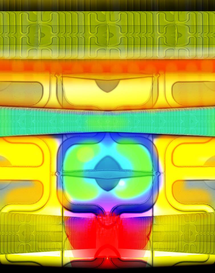 The labyrinth<br />
Zeiss LSM 710 Confocal Microscope