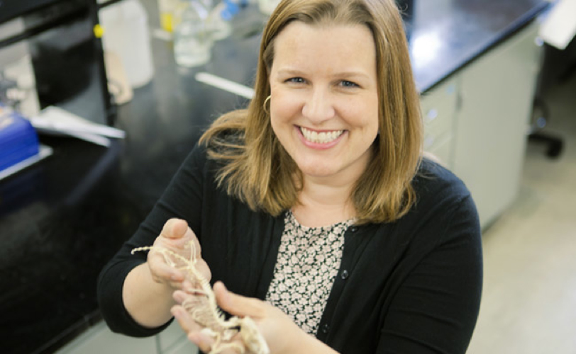 Karen Sears, Associate Professor at the School of Integrative Biology and IGB faculty member, coauthored the new study. 