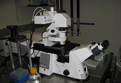 Multiphoton Confocal Microscope Zeiss 710