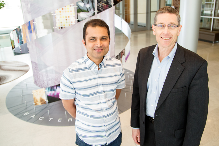 IGB faculty member Saurabh Sinha, a professor of computer science (left), with Director and professor of entomology Gene Robinson and an international consortium of 52 scientists used comparative genomics to discover the evolution of bee society is associated with increases in the complexity of gene regulation.