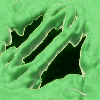 Just like our own bodies need a mechanism to regulate gas and water content in our cells, plant tissue also needs a mechanism for this too. Plant stomata (pictured above) are pores that regulate transpiration of water and gas exchange.
