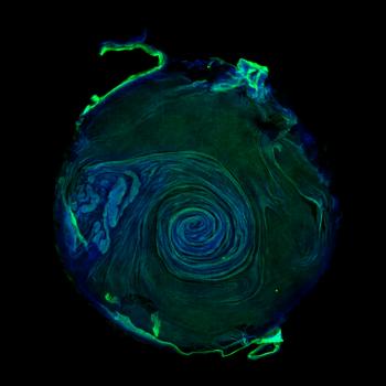 While the mechanisms driving activation of the innate immune response during viral infection are well understood, the spatial organization remains poorly defined. Using in vitro models of the respiratory tract, we aim to dissect how spatial structure shapes the activation of the innate immune response during influenza A virus infection.