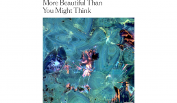 Image showing Polymorphic Crystals of Human Kidney Stone featured in the New York Times published in a Scientific Reports manuscript. 