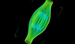 Contour surface of a Heat Exchanger