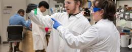 Innovations take root at the IGB