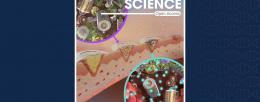 The inside cover image of Volume 13, No. 31 of Advanced Science features research from the Multi-Cellular Engineered Living Systems theme.