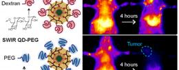 The visual abstract from the paper, entitled “Macrophage-Targeted Quantum Dots with Short-Wave Infrared Emission for In Vivo Breast Cancer Imaging,” published in Bioconjugate Chemistry.