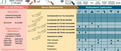 Incremental progress on a stubborn medical mystery: new studies yield insight on the signs and causes of hypermobile Ehlers-Danlos Syndrome