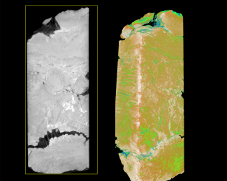 These images depict a slice of a coal ball from the Pennsylvanian period (~300 million years ago), that contains permineralized plant material from a peat swamp. 