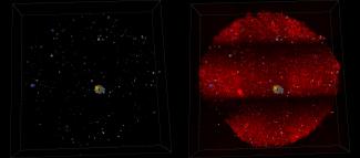 Towards the development of a fast and robust protocol for the clearing and imaging of Mineralized Collagen Scaffold, embedded with cells.  A secondary goal is adopt the protocol for a high throughput clearing and imaging samples on a large scale.