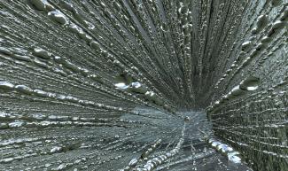 Nature designed equine hooves to resist high impacts. This high-resolution micro-computed tomography image illustrates the tubular canals with intersecting bridges in three dimensions in an equine hoof wall.