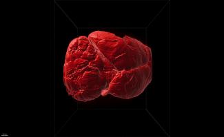 The goal of this project is to understand the solute transport at the extracellular space of a rodent brain by intracranial injection.