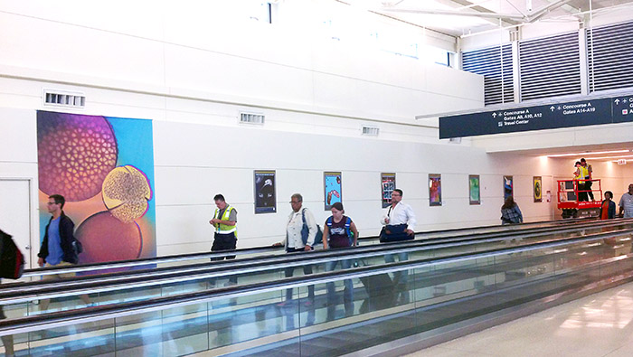 More than a flight of fancy - A new art exhibit at Midway airport features images from the Institute for Genomic Biology’s pioneering research.