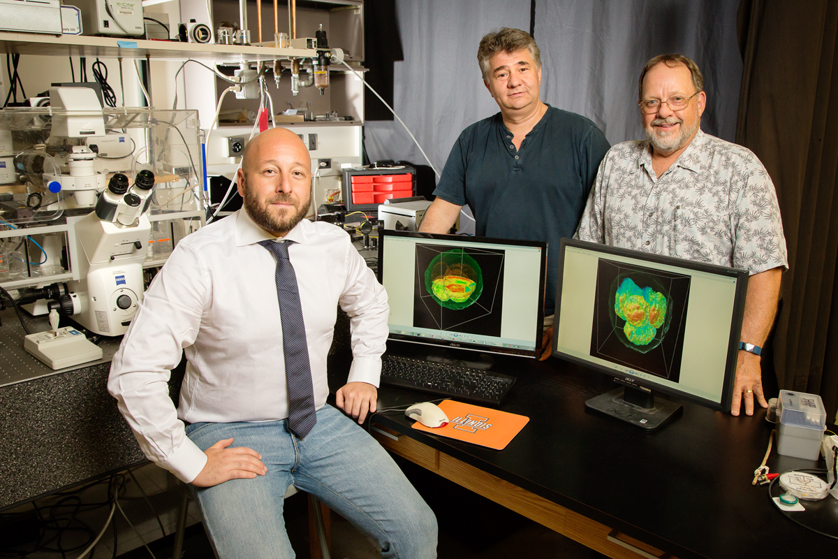 Marcello Rubessa, Gabriel Popescu and Matthew B. Wheeler teamed up to produce 3-D images of live cattle embryos that could help determine embryo viability before in vitro fertilization in humans.