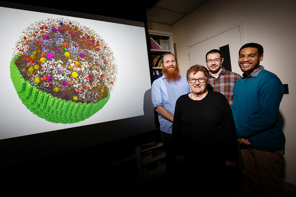With their colleagues, researchers, from left, graduate student Zane Thornburg, chemistry professor Zaida (Zan) Luthey-Schulten and graduate students Benjamin Gilbert and Troy Brier successfully simulated a living “minimal cell.” The advance will aid in creating computer models that accurately predict how living cells will behave when changes are made to their genomes or other characteristics.