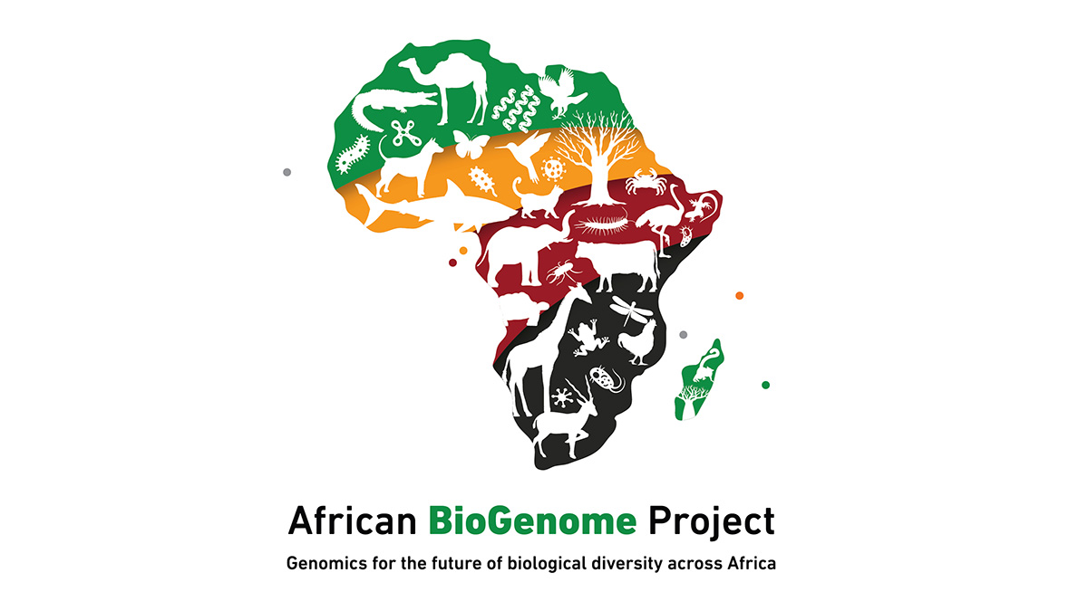 The AfricaBP logo represents the African continent, and the African Union flag colors represent the unity of the African people. The logo also depicts a representation of the species the researchers want to sequence.