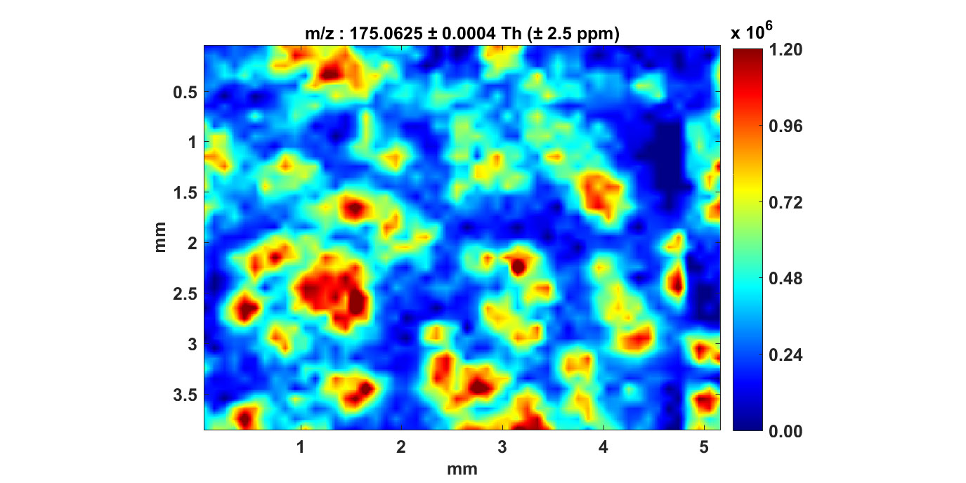 Spatial distribution of Pseudomonas quorum signaling from biofilm sample measured using MS imaging.