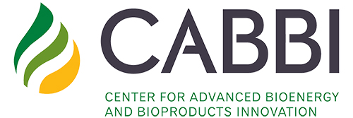 Center for Advanced Bioenergy and Bioproducts Innovation