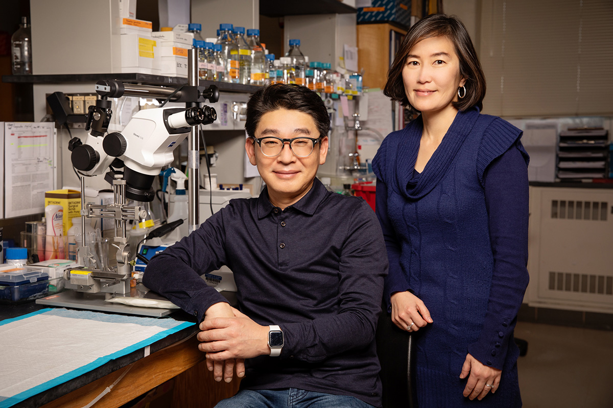 A study led by Illinois postdoctoral researcher Eung Chang Kim and professor Hee Jung Chung found that mice with a genetic mutation associated with epileptic encephalopathy exhibit not only the seizure and behavioral symptoms of the disorder, but also neural degeneration and inflammation in the brain.