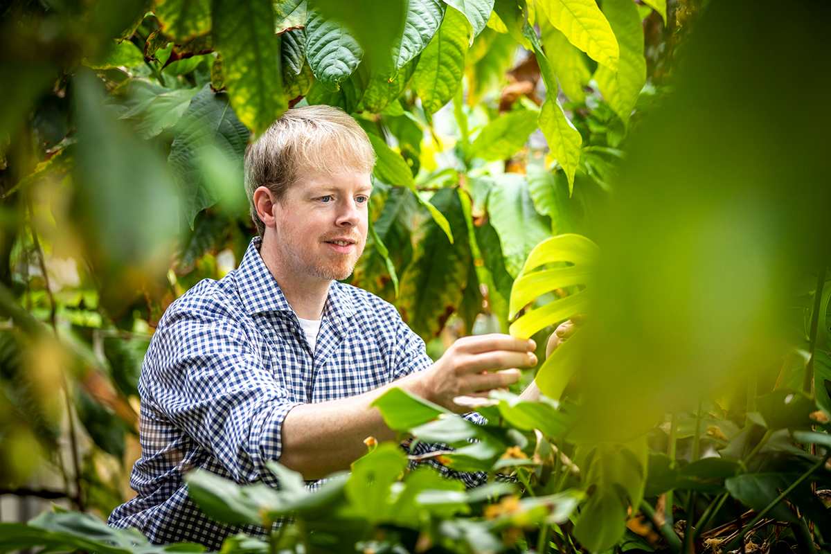 U. of I. plant biology professor James O’Dwyer, pictured, and graduate student Kenneth Jops developed a method for predicting whether pairs or groups of plants are likely to persist together in a habitat over time.