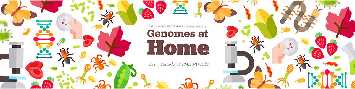 Genomes at Home
